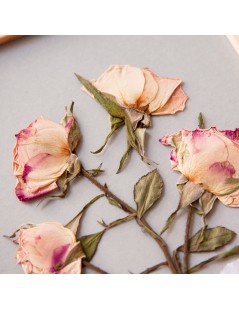 Herbier fleurs séchées « Bouquet de roses » Fond bleu clair