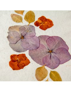 Herbier fleurs séchées « Hortensias & Amarantes »