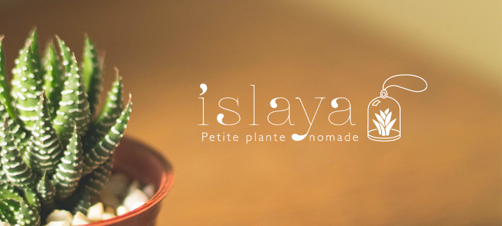 Identité visuelle - Logo Islaya